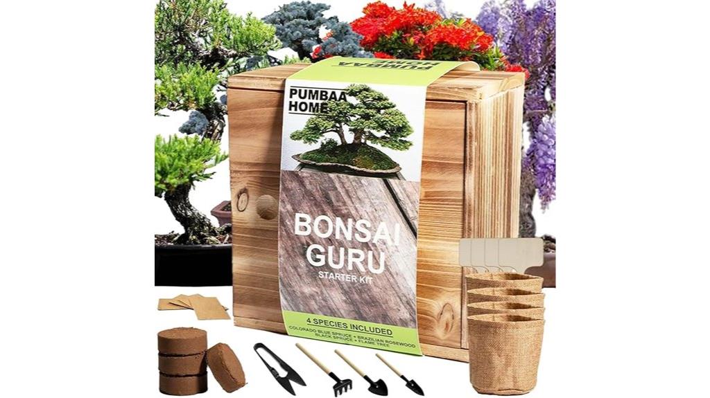 bonsai kit with seeds