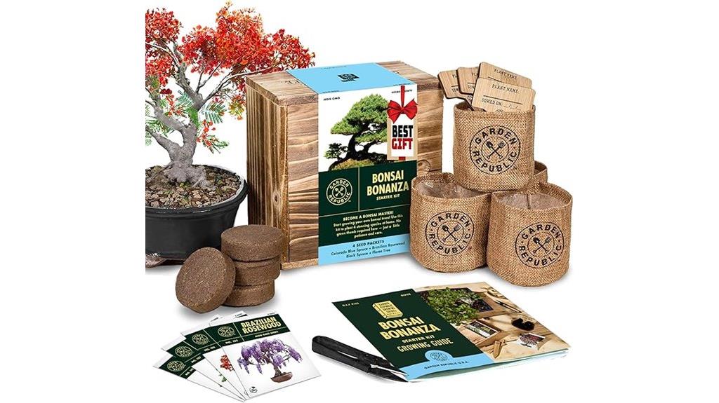 bonsai tree kit