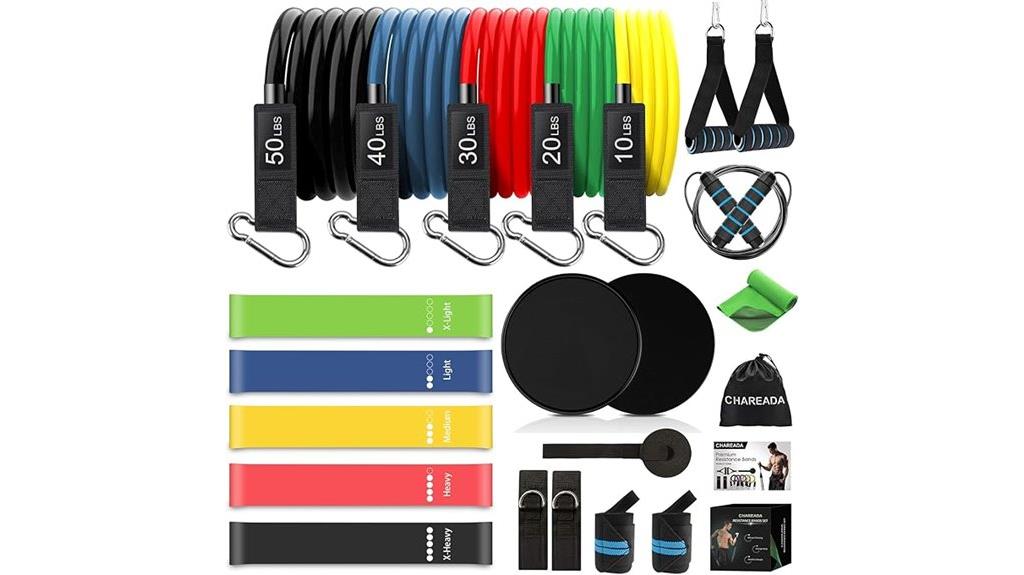 comprehensive resistance band kit