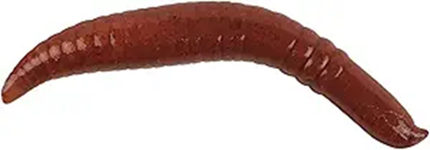 floating pinched crawler bait