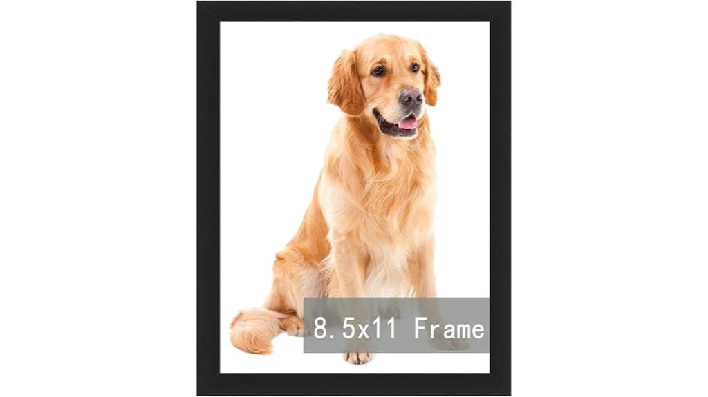 helix 8 5x11 picture frame