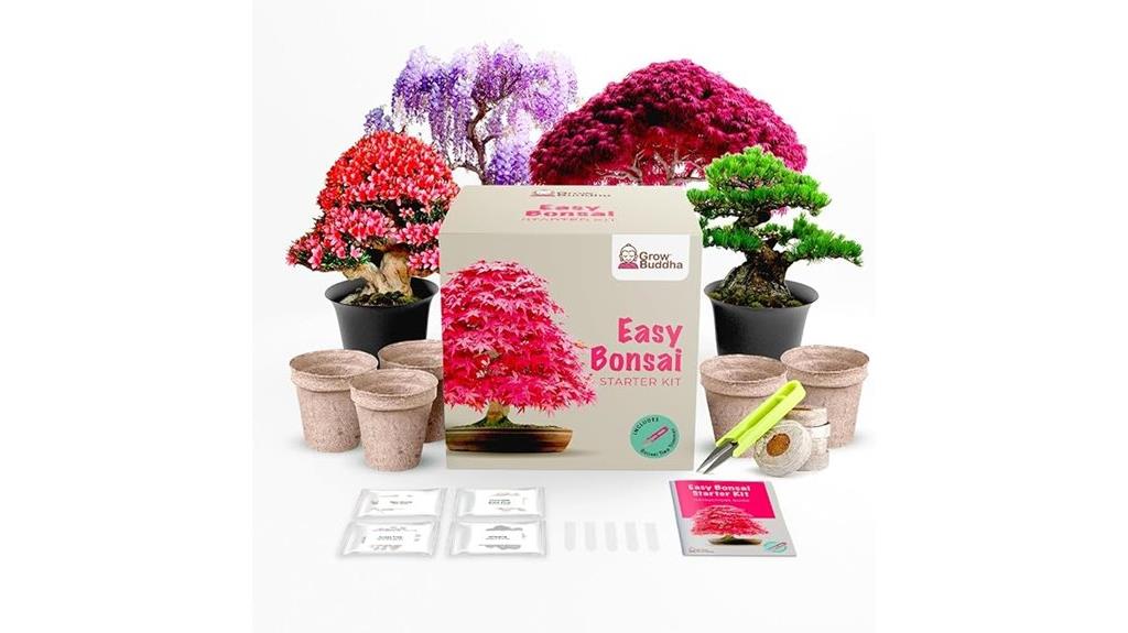 start your bonsai journey