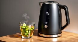 top electric kettles with temperature control