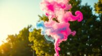 top gender reveal smoke bombs
