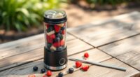 top portable smoothie blenders