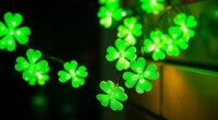 top shamrock lights collection