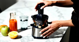 13 Best Best Premium Juicers Cold Press in 2026