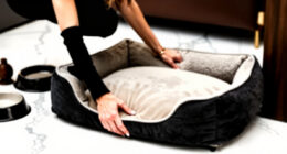 14 Best Orthopedic Dog Beds Luxury in 2026