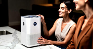 6 Best Air Purifiers for Large Rooms in 2026