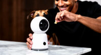 6 Best Pet Cameras With Treat Dispenser in 2026