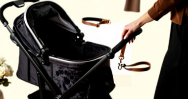 8 Best Best Premium Pet Strollers in 2026