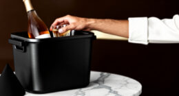 8 Best Luxury Coolers For Entertaining In 2026