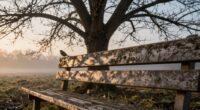 genuine quotes about hopeful inspiration