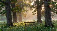 honest words promote healing