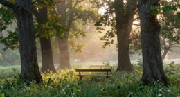 honest words promote healing