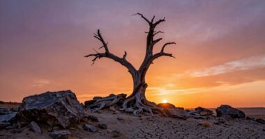 learning from tough experiences