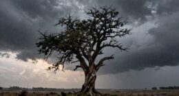 perseverance through adversity