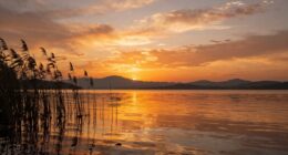 popular hashtags for daily inspiration