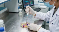 Middle East Reference Strain Fungal Culture - Market Analysis, Forecast, Size, Trends and Insights